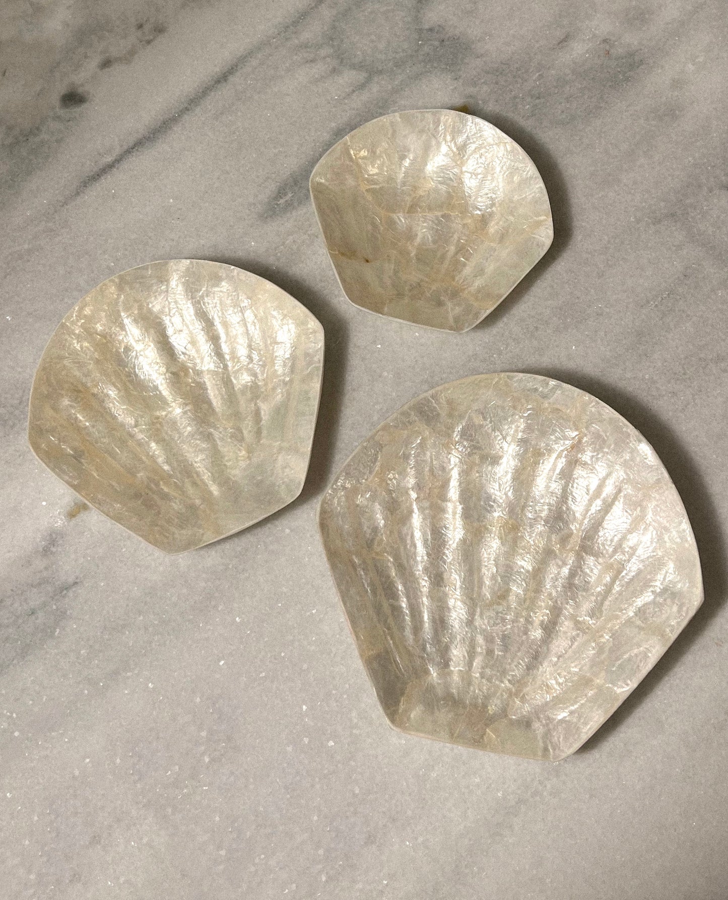 mother of pearl shell catch-all dish